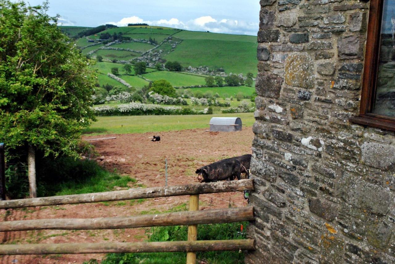 Eco Cottage Joe The Buck Craven Arms Eksteriør bilde