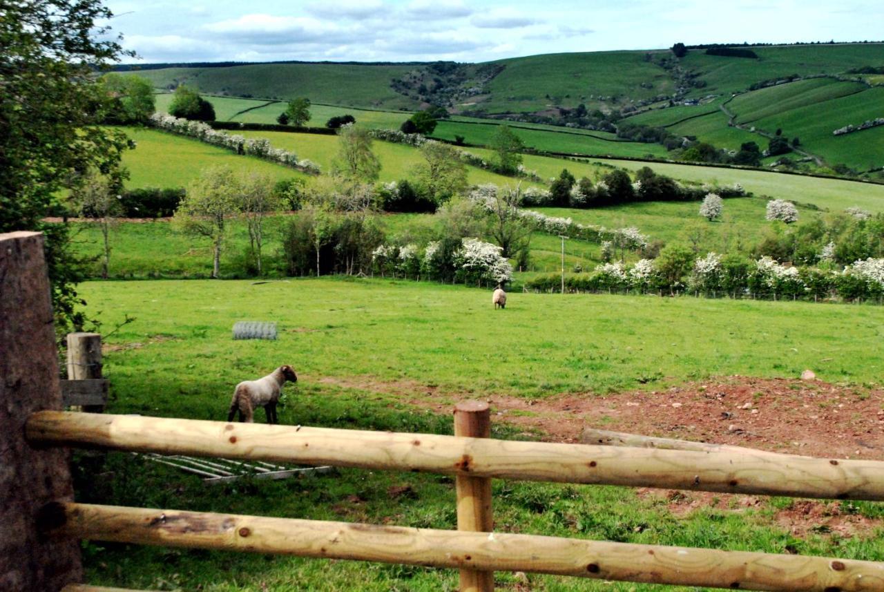 Eco Cottage Joe The Buck Craven Arms Eksteriør bilde