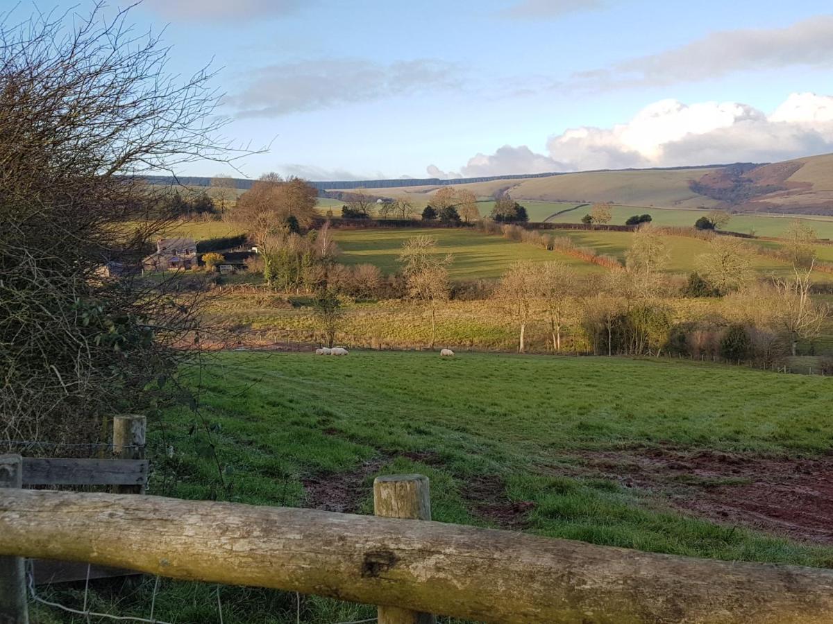 Eco Cottage Joe The Buck Craven Arms Eksteriør bilde